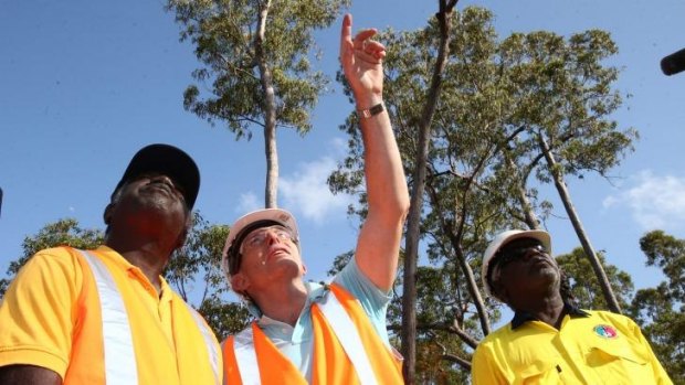 Prime Minister Tony Abbott with Djawa Yunupingu and Balu Yunupingu during a tour of the Gumatj timber lopping site in North East Arnhem Land.