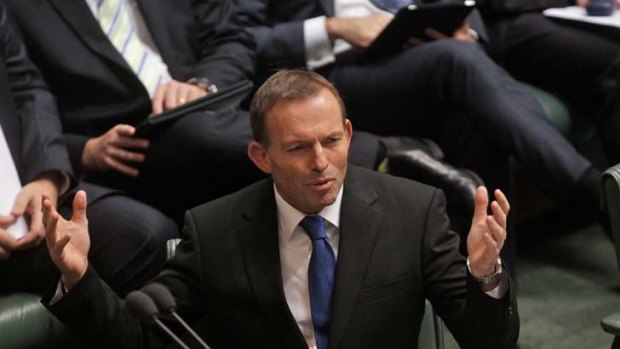 Tony Abbott has tactics but no strategy.