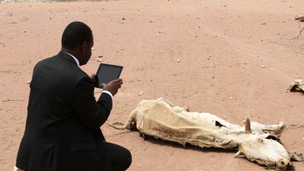 An aid worker using an iPad captures an image of a decomposing cow in Wajir, Kenya, near the border with Somalia.