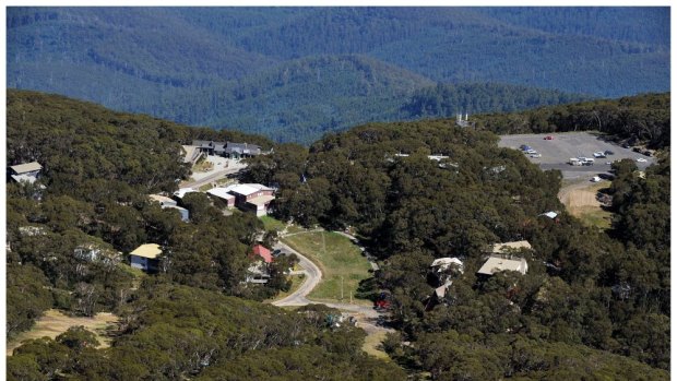 The Mount Baw Baw Alpine Resort board has appointed Belgravia Leisure to manage the troubled resort for the next 12 months. 