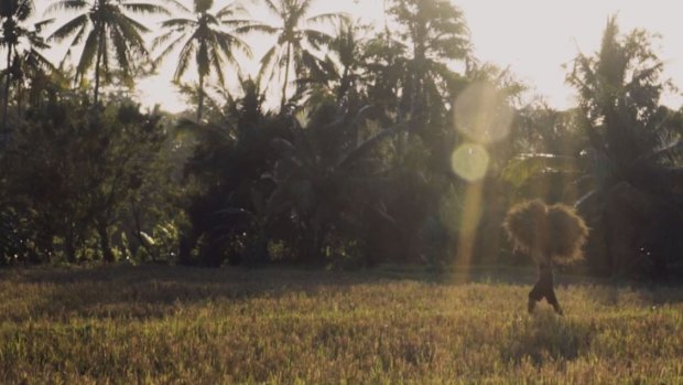 Rice farmers in Bali are using organic techniques to increase their yields.