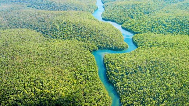 Amazon and other rainforests may be better able to cope with climate change.