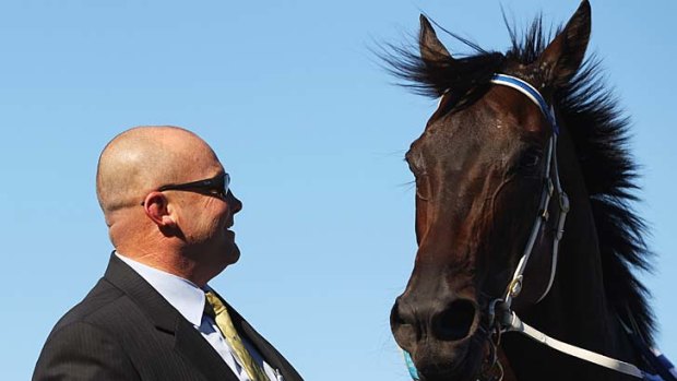 Trainer Peter Moody poses with Black Caviar in the mounting yard.