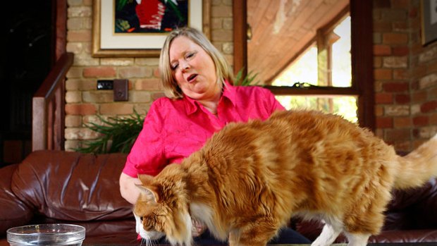 Sandy Anderson with her cat, who is inspecting a bowl of vegan pet food,