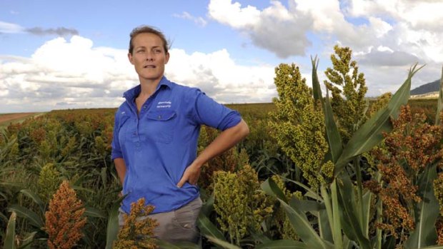 Still hoping &#8230; Kate Davidson on her cereal, legume and sorghum farm near Gunnedah yesterday. She says there is scepticism about whether land will be set aside solely for food production.