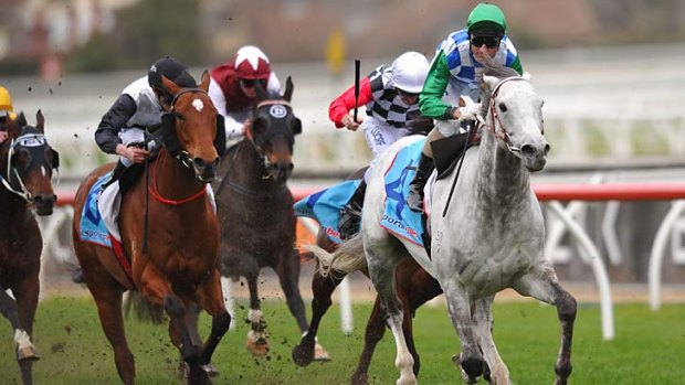 Class act: Puissance De Lune wins the P.B. Lawrence Stakes.