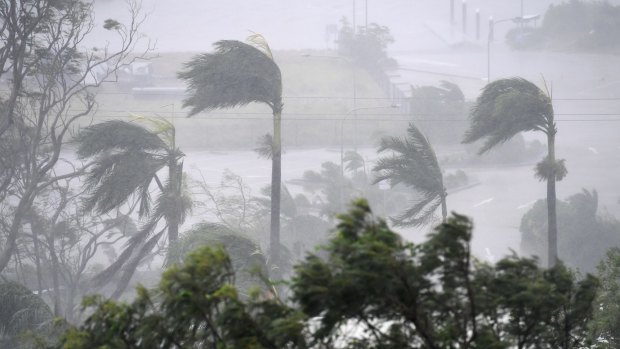 Cyclone Debbie has hit key growing areas around Bowen. 