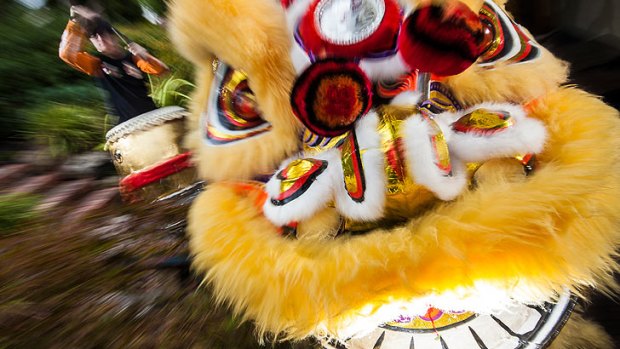 Brisbane's Chinese New Year celebrations will centre around Sunnybank and the Valley.