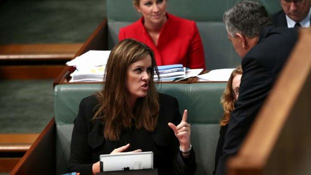 Tony Abbott says Clive Palmer does not understand the paid parental leave policy after the MPs attacks on the PM's chief of staff Peta Credlin.