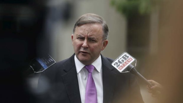 Labor's infrastructure spokesman Anthony Albanese has made a video for ''nothing'' on road funding, while the government budgeted $85,000 for a promotional budget video.