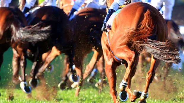 They're off ... while Nathan Tinkler likes to watch his horses run via laptop, racing figures say being at the track would help his image.