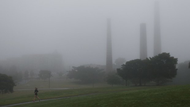 Foggy start to the day ... a jogger runs through Sydney Park.