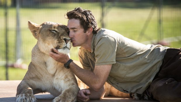 Trainer Matthew Ezekial of Stardust Circus with a lion. 