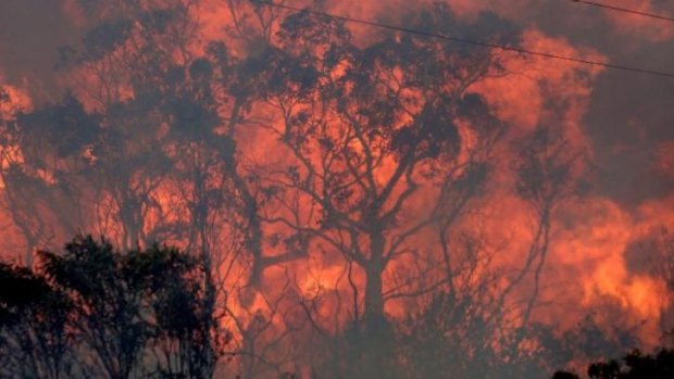 Bushfire seasons are predicted to worsen with climate change.