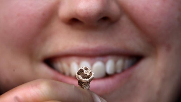 Dr Hannah Cobb from The University of Manchester holds one of the Viking's teeth.