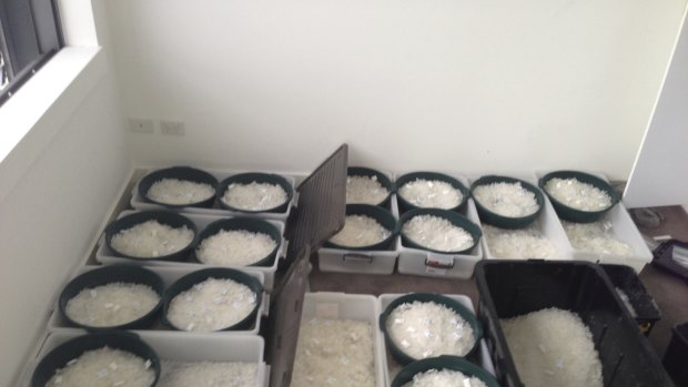 Police seized buckets full of ice from the Gladesville apartment.