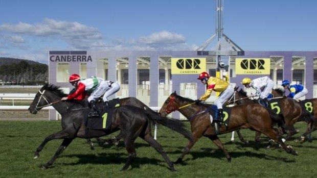 Warinda (No.1) did just enough to win race three at Thoroughbred Park in Canberra on Friday.