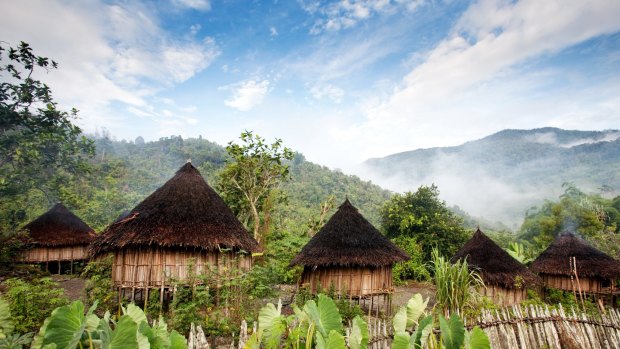 Traditional thatched roof houses in Papua New Guinea.