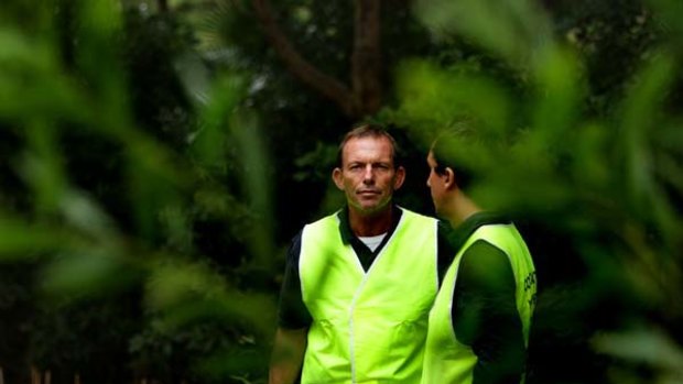 Opposition Leader Tony Abbott's green army won't be fuilly operational for a few years.