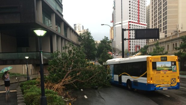 Violent storm lashes Brisbane on Thursday, November 27. 