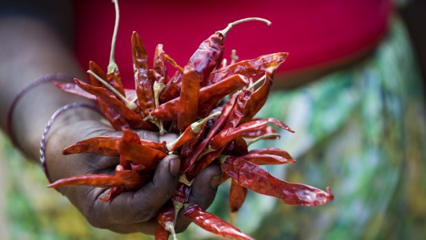 Dried red chilies are a signature ingredient of Sri Lankan food.
