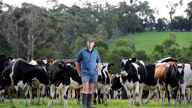 Business looks good: Dairy farmer Craig McWhinney is optimistic about the future and hopes to expand his herd.