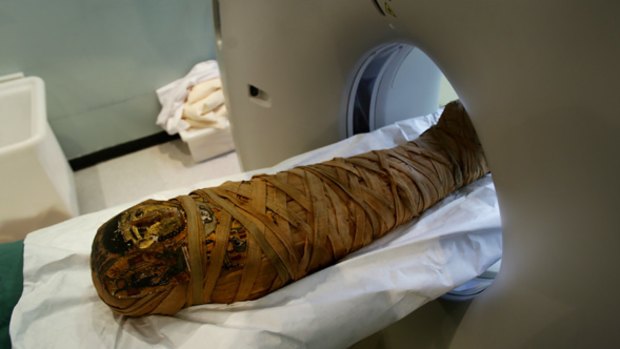 The 2000-year-old  Egyptian mummy undergoes a CT scan to determine its gender. 