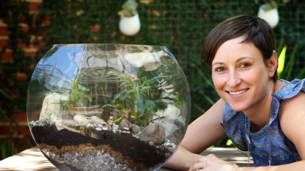Since her first foray into terrariums six years ago, Clea Cregan has mastered the miniscape.