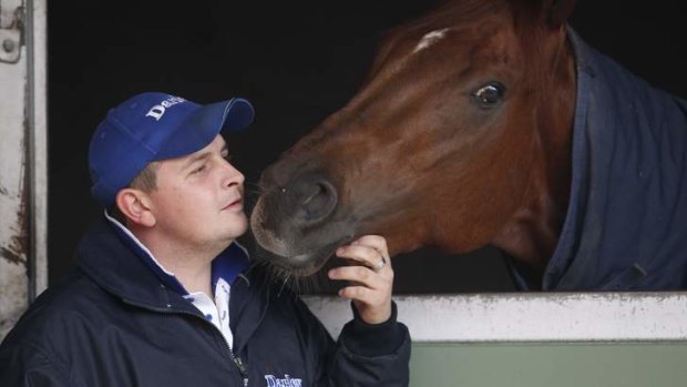 Classy pair: Paul Snowden with star Darley horse Sepoy in 2011.