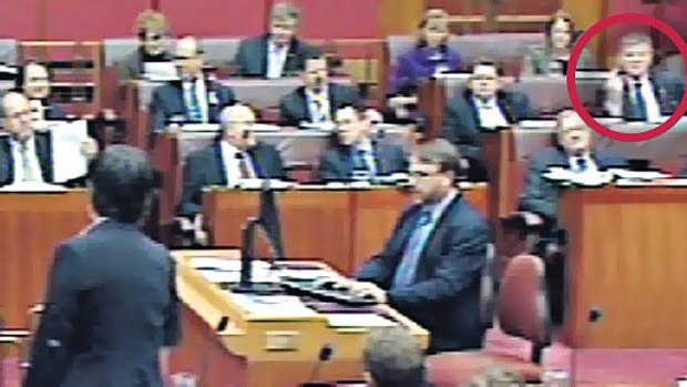 Gesture politics ... Bill Heffernan in the Senate yesterday. He said he was not sending a message to Penny Wong, at left in the foreground.