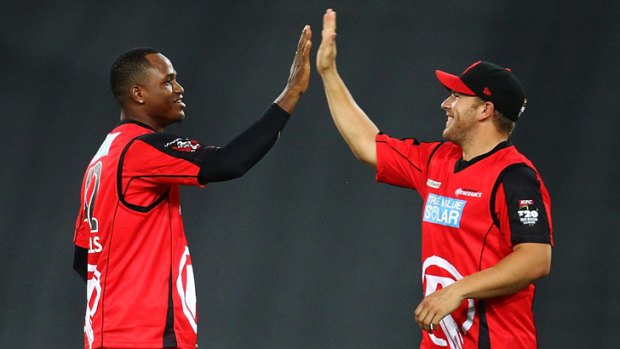 High fives: Marlon Samuels and Aaron Finch celebrate a wicket during the Renegades’ win on Friday night.