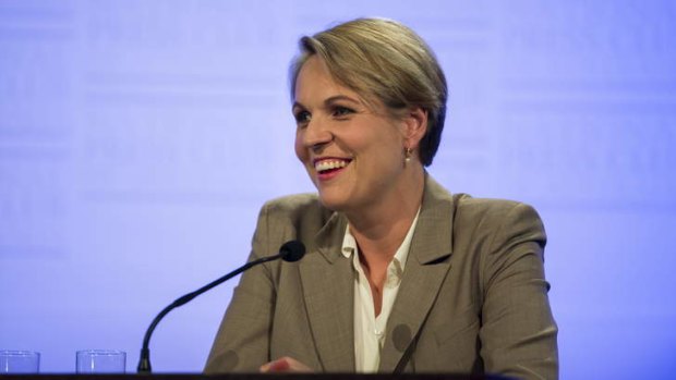 "It's quite extraordinary that [the government] would make a large change without reporting back to Australians": Opposition foreign affairs spokeswoman, Tanya Plibersek.