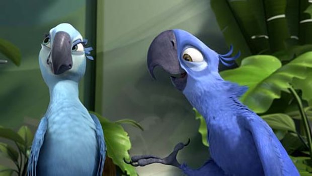 Feeling a bit blue ... Rio birds won't get a song at the Oscars