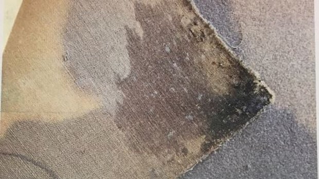 Mould and water damage to the carpet in Julie Gaffney's Abbotsford apartment.