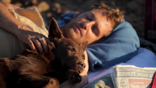 Dog lover Josh Lucas felt a rapport with Koko, ''... a deeply intelligent, very soulful animal not particularly interested in acting''.