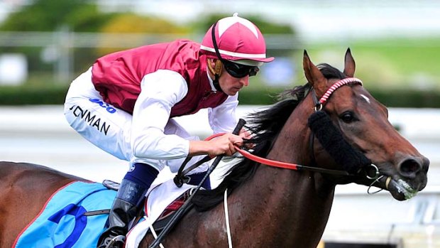 Racing well: Free Wheeling wins at Caulfield on Thousand Guineas day.