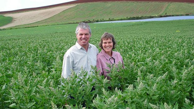 Lauran and Henriette Damen in a crop of young Quinoa in Sheffield, Tasmania.