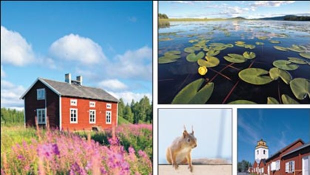 After the thaw ... (clockwise from above) a typical copper-red log cabin in Lapland’s Ranea Valley; glacier lakes host lily pads; a church in the world heritage town of Gammelstad; white-water rafting on the Ranea River; locals are friendlier in warm weather.