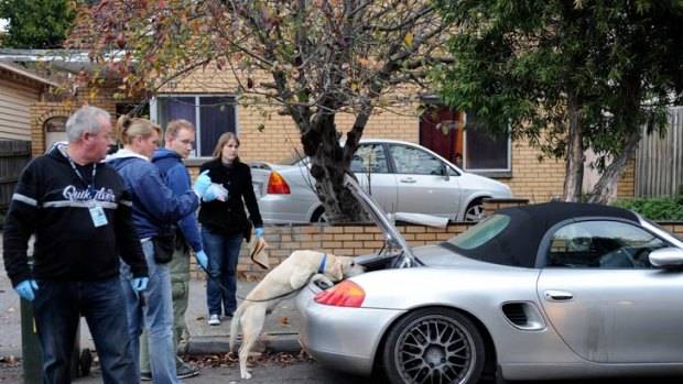A police sniffer dog goes through a Porsche parked in the street.