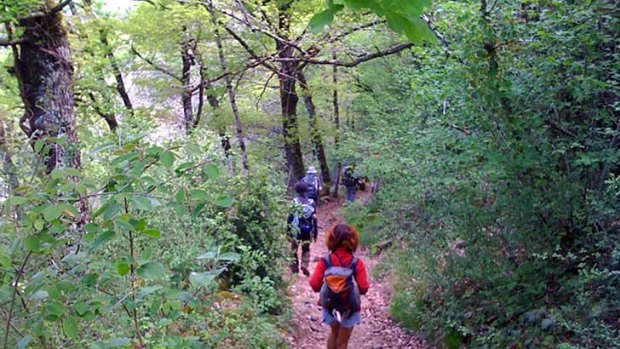 Pilgrims follow the Route St Jacques through a forest of Beech, Oak, Chestnut and Birch in the Lot Valley.
