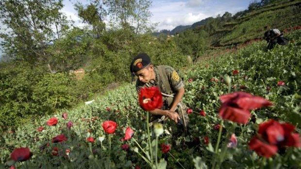 Battlefield ... a Guatemalan soldier prepares to take part in an operation to destroy a poppy plantation in Tuinima village, near the border with Mexico.