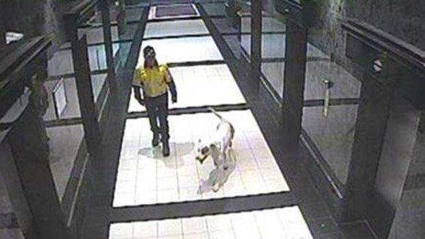 He was caught on a security camera with his dog.