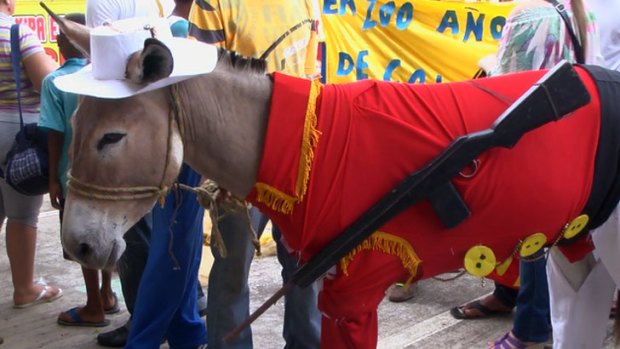 A donkey in costume in a still from the film Donkey Love