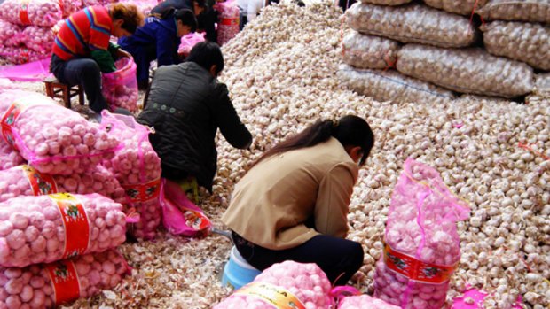 Chinese farmers pack garlic at a wholesale market in Yichang.