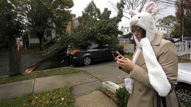 Always connected ... a woman checks her mobile phone across the street from a fallen tree in Queens, New York.