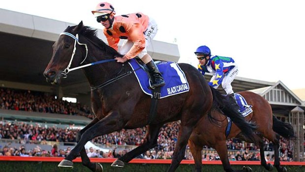 No disgrace &#8230; all horses that took on Black Caviar came off second best, including We're Gonna Rock, obscured, in The Goodwood at Morphettville in May.