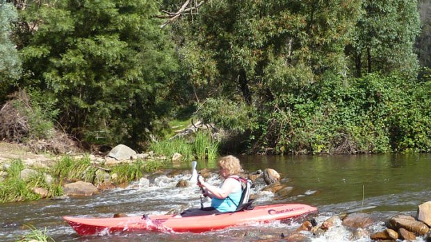 Micalong creek provides safe and fun paddling.