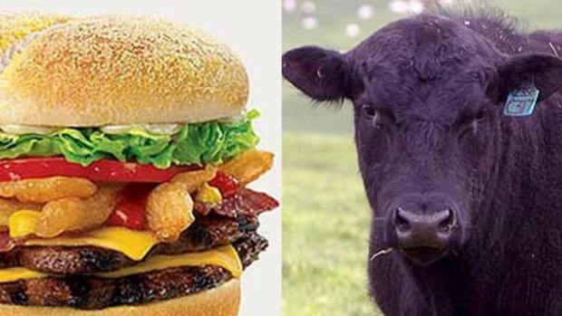 An Angus bull looks on - perhaps angrily, we'll never know for sure - as some of his one-time farmyard friends fill the buns of a Hungry Jack's Angry Angus burger.