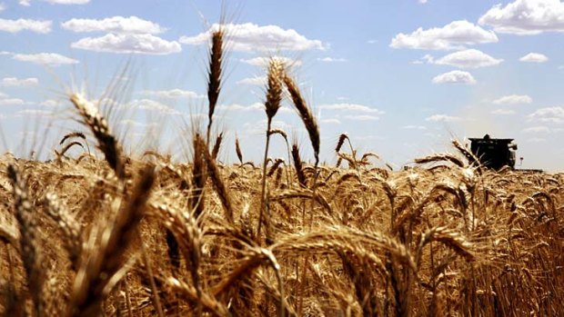 The world's largest corn processor, US agribusiness giant Archer Daniels Midland, plans to make a friendly cash bid for GrainCorp.