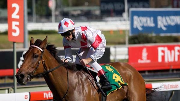 Herculian Prince can edge closer to a Melbourne Cup start today.